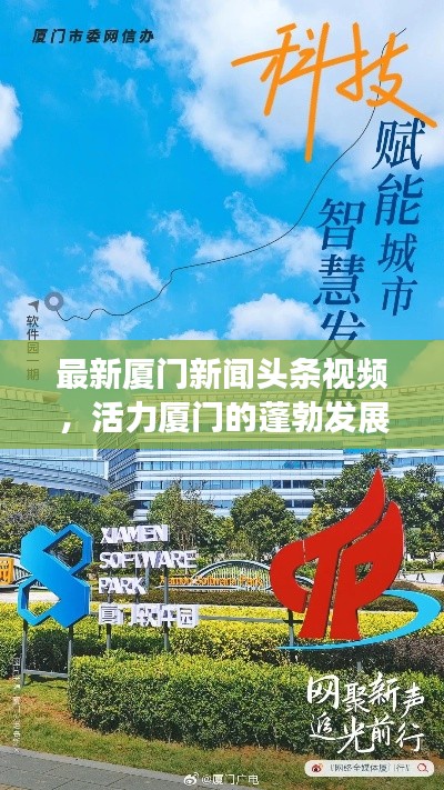 最新厦门新闻头条视频,活力厦门的蓬勃发展之旅