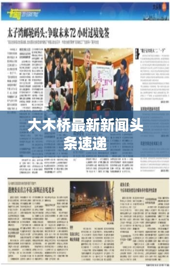 大木桥最新新闻头条速递