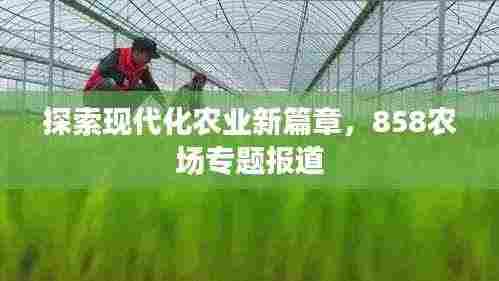 探索现代化农业新篇章,858农场专题报道