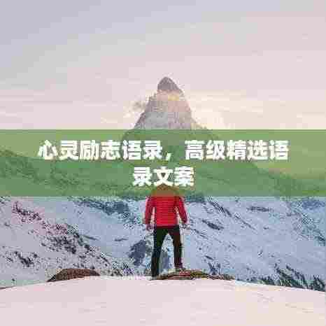 心灵励志语录,高级精选语录文案