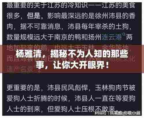 杨雅清,揭秘不为人知的那些事,让你大开眼界!