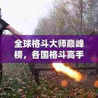 全球格斗大师巅峰榜,各国格斗高手大揭秘!