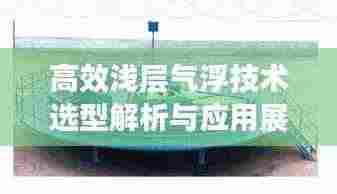 高效浅层气浮技术选型解析与应用展望,应用前景及选型指南
