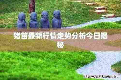 猪苗最新行情走势分析今日揭秘