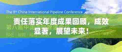 责任落实年度成果回顾，成效显著，展望未来！