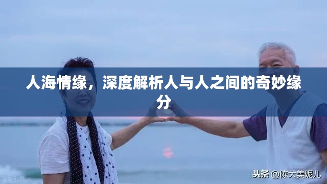 人海情缘,深度解析人与人之间的奇妙缘分