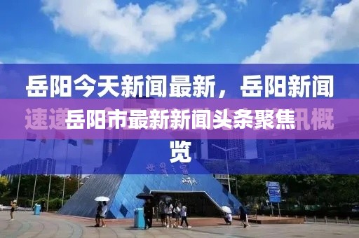 岳阳市最新新闻头条聚焦