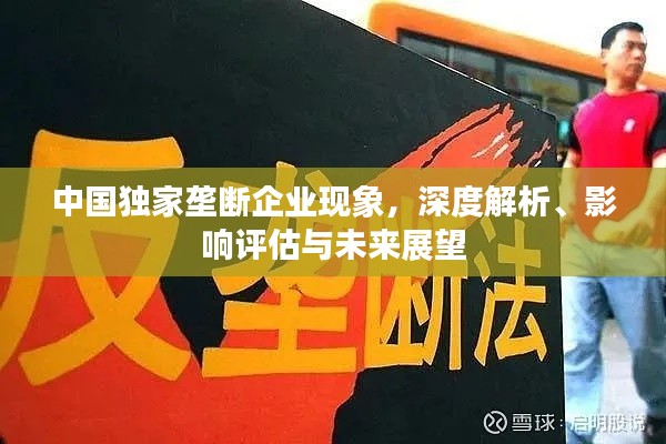 中国独家垄断企业现象，深度解析、影响评估与未来展望