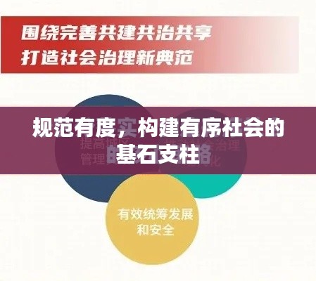 规范有度，构建有序社会的基石支柱