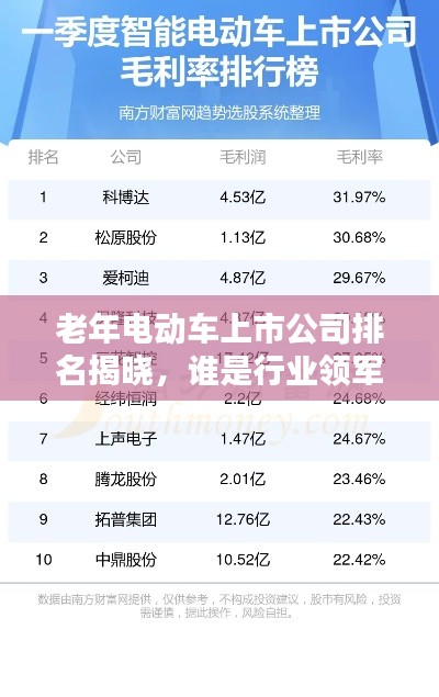 老年电动车上市公司排名揭晓，谁是行业领军者？